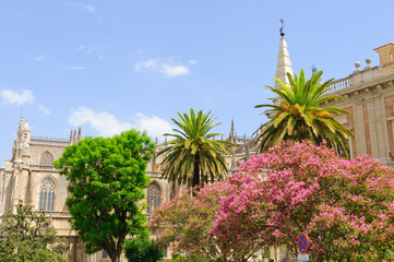 Fototapeta na wymiar The cathedral in Sevilla, Spain
