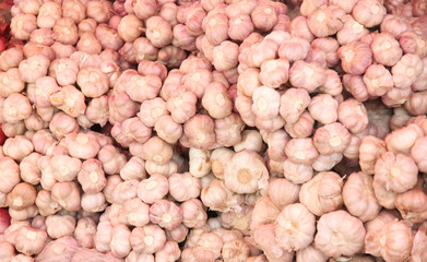 Garlic in the market.