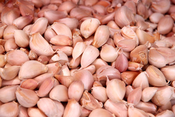 Garlic in the market.