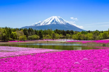 Wandcirkels tuinposter Fuji met roze mostuin © journey2008