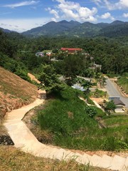 steps leading to a village in a rainforest