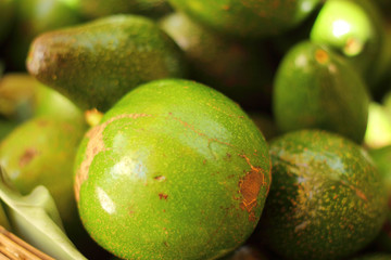 Avocado fruit fresh in the basket.