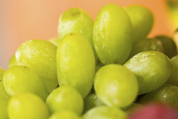 White wine grapes