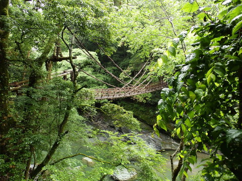 Kazura bridge