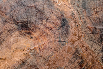 Wood Texture Background