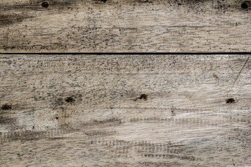 Wood Texture Background