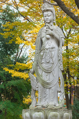 Fototapeta na wymiar The Goddess of mercy at Zojoji Temple in Kyoto