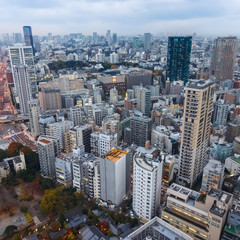 Fototapeta na wymiar Tokyo City