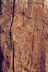 Old wood texture
