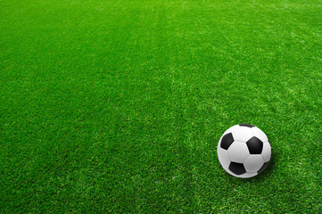 stadium