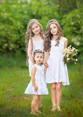 Portrait of three young girlfriends with daisies