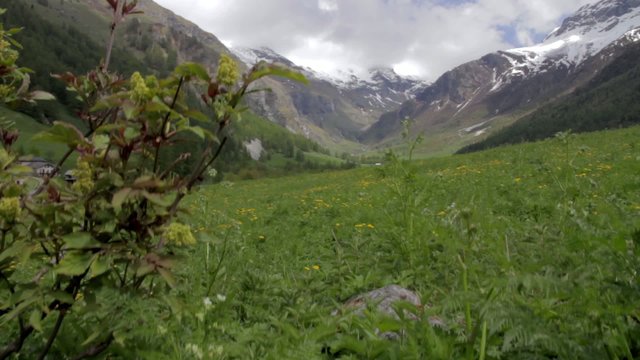 Vall&eacute;e dans les Alpes