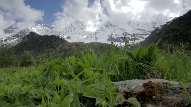 Montagne avec foret et neige