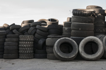 Obraz premium copertoni