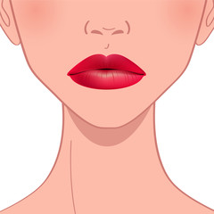 beautiful red female lips
