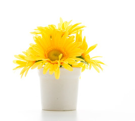 Bouquet flowers isolated on white