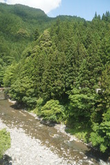 Fototapeta na wymiar 飯田線からの車窓 天竜川の渓谷美