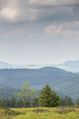 Kahler Asten landscape in germany