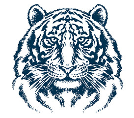 Detailed tiger head vector