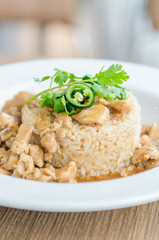 Chicken with brown sauce on rice