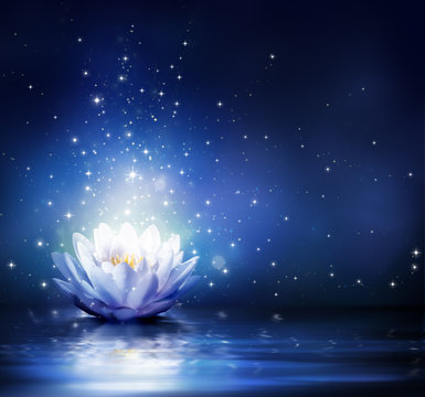 magic flower on water - blue