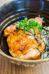 Teriyaki chicken on rice