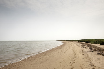 Bradwell-on-Sea coastline