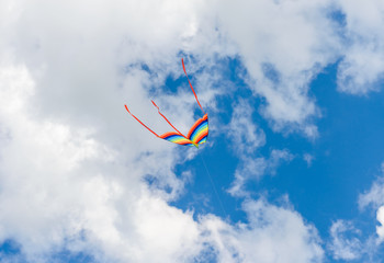 colorful kite