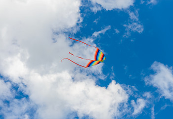 colorful kite
