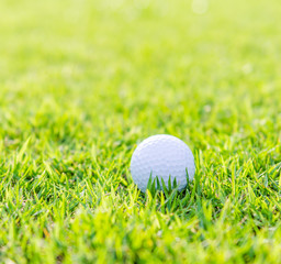 Golf ball on green grass