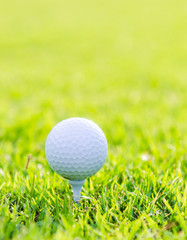 Golf ball on green grass