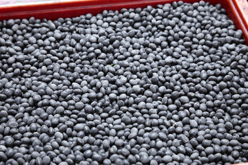 close up many black bean in plastic basket
