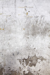 close up old concrete wall in sun light