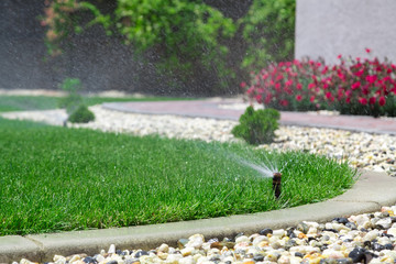 Sprinkler watering grass - obrazy, fototapety, plakaty