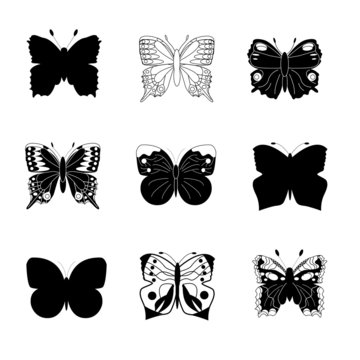 Collection of butterflies for design