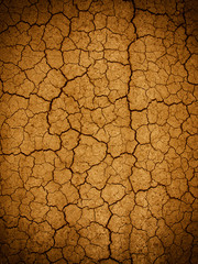 cracking dry earth