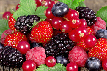 Wild berries
