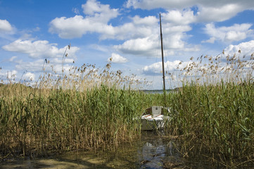 Fototapete bei efototapeten.de bestellen   