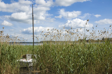 Fototapete bei efototapeten.de bestellen   