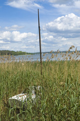 Fototapete bei efototapeten.de bestellen   
