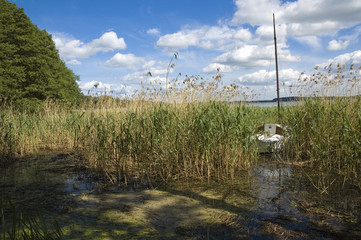 Fototapete bei efototapeten.de bestellen   