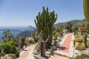 Eze-Village, France. Exotic garden