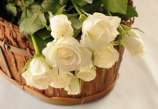 Białe róże w koszyku © Justyna Kaminska