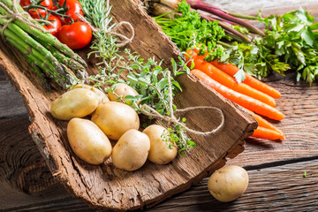 Various fresh vegetables on bark