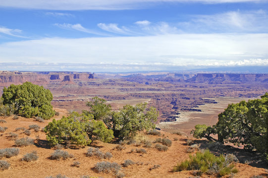 Southwest USA Desert Landscape