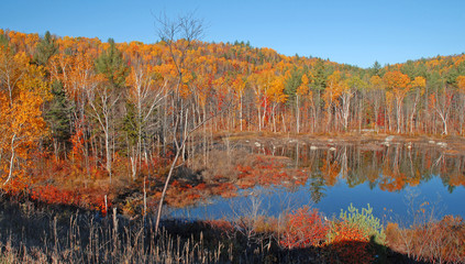Fall Colors - Autumn Leaves reflecting in lake