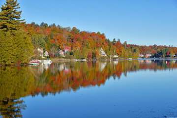 Fototapeta premium Autumn colors reflecting in lake