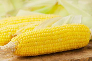 rip corn close up