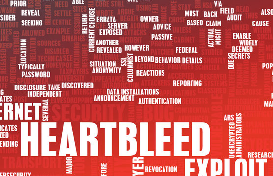 Heartbleed Exploit