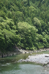 Fototapeta premium 新緑の山並みと清流天竜川